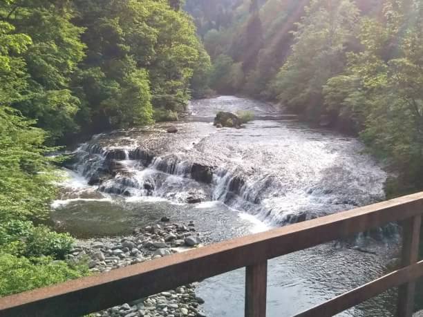 朝の陽射し