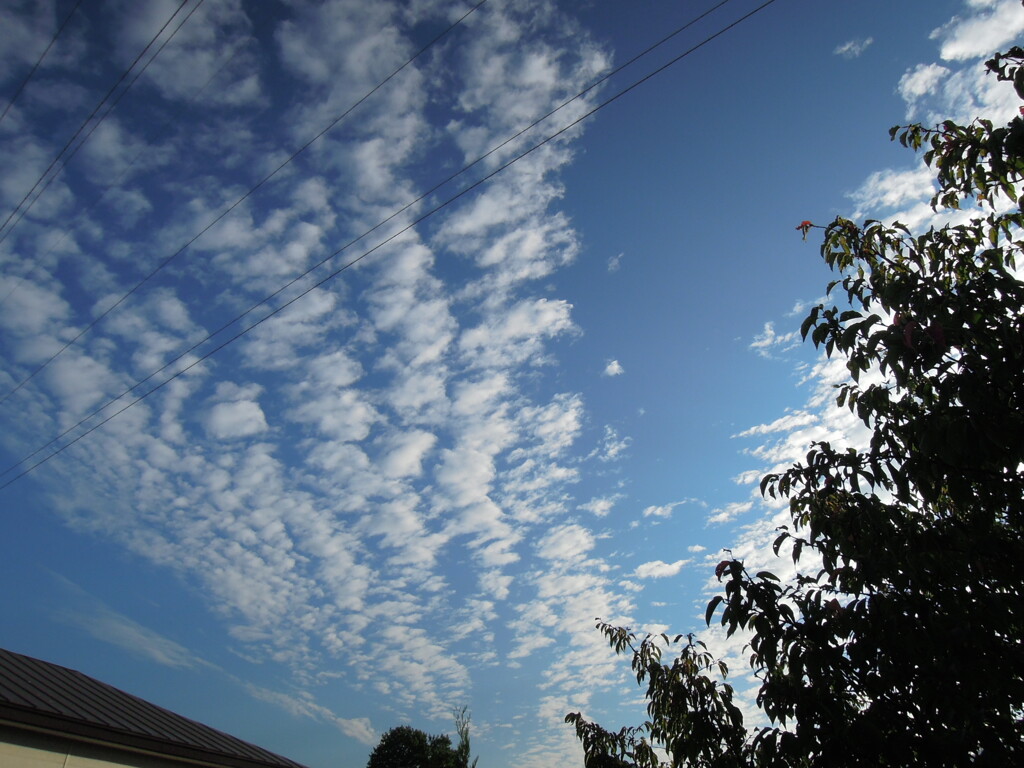 DSCN2869