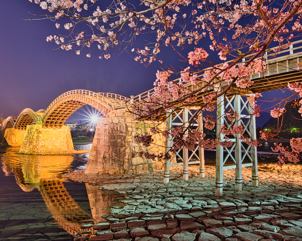 錦帯橋の夜桜2020