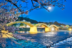 錦帯橋の夜桜2020