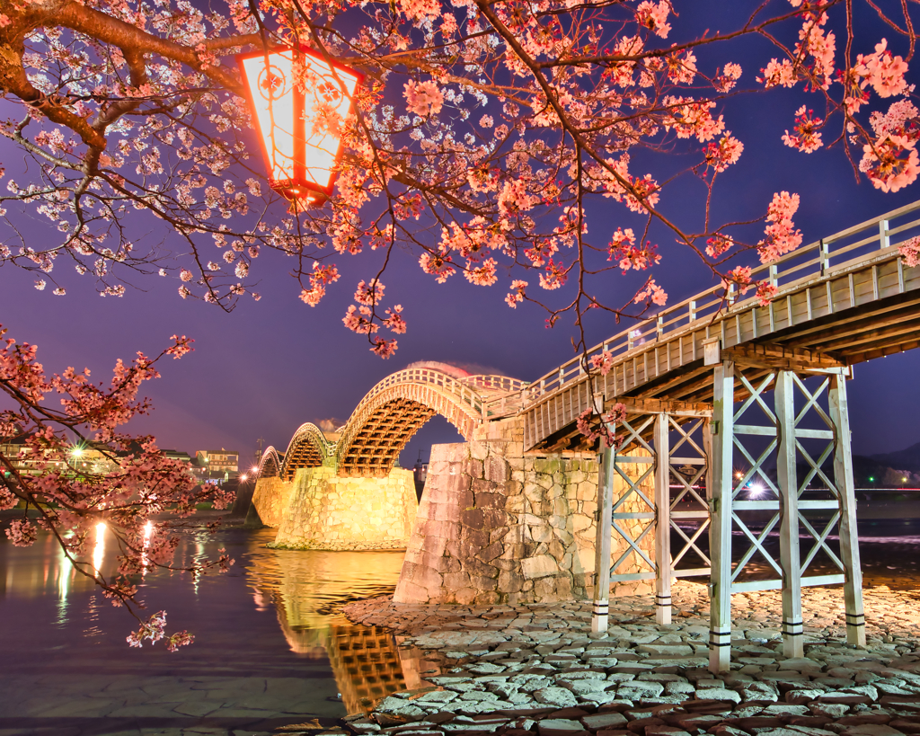 錦帯橋の夜桜2020