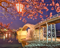 錦帯橋の夜桜2020