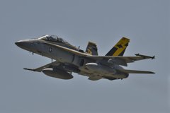 VMFA-242Bats隊長機