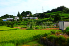静岡の風景