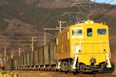 Happy New Yellow!