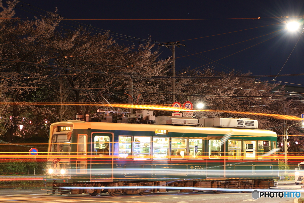 Tokyo sakura tram