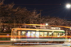 Tokyo sakura tram