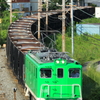 brilliant green