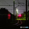 NIGHT YARD