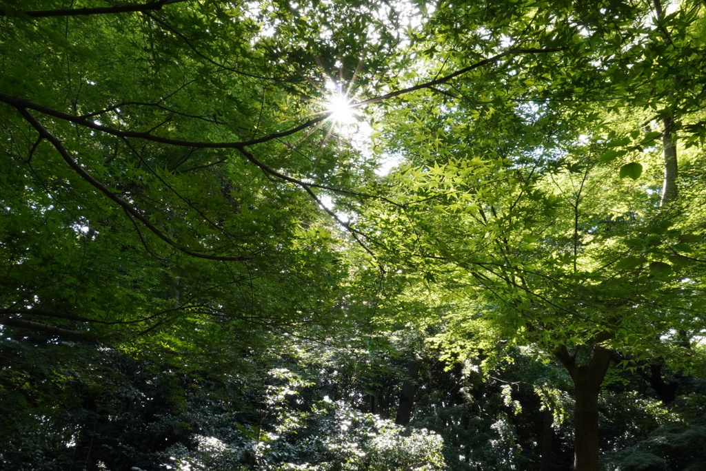 六義園