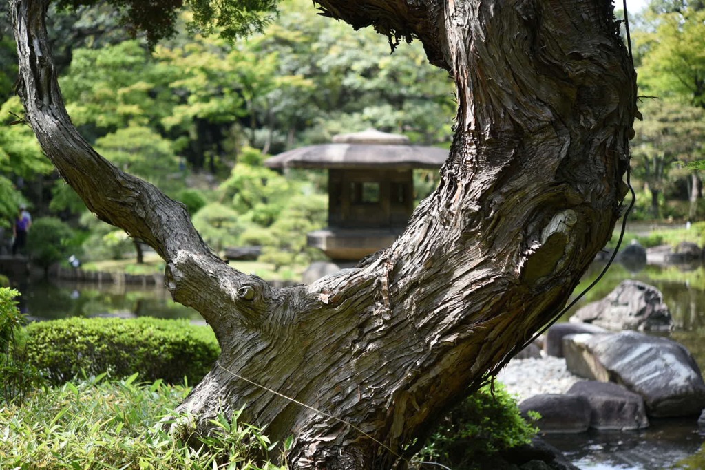 古河庭園