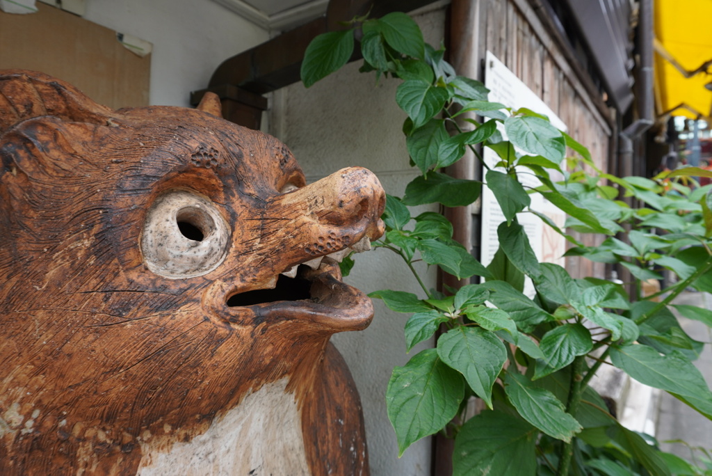 神田明神前のタヌキ