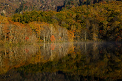 鏡池の紅葉