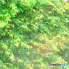 20190430_155733_72_1