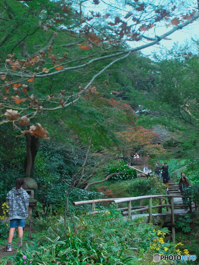三渓園(2)