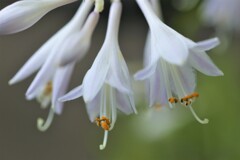 IMG_4892 (2)