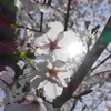 P1220758