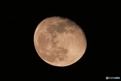P1220731