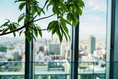 あべのハルカス