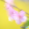 春一番♬︎♡
