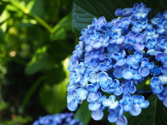 878B5DA2-1193-486E-AD85-B83241F95320