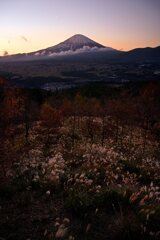 秋の彩り