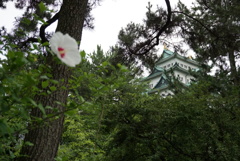 つつじと名古屋城