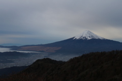 山散歩4  三つ峠からの富士山