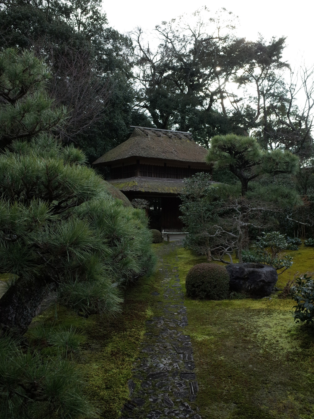 慈光院山門