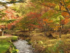 紅葉と川