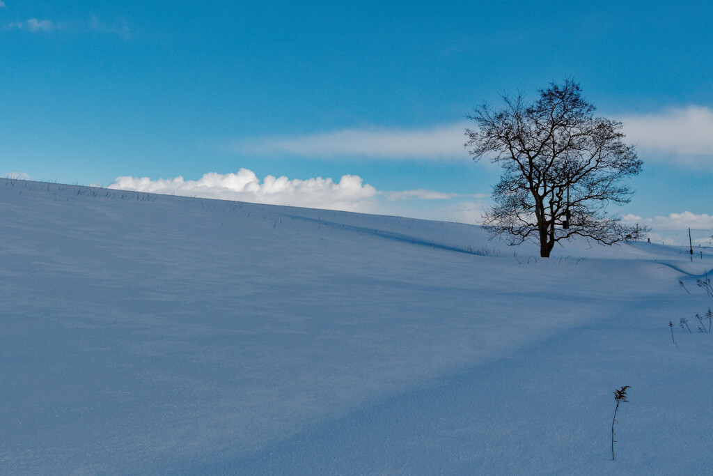 北海道　3月