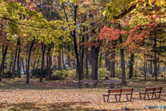 公園