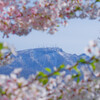 手稲山を望む
