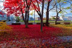 少し前の近所の風景