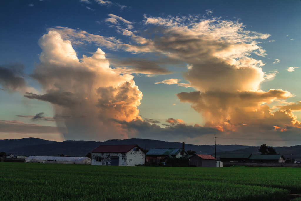 夏雲