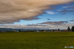 黄昏前の田園