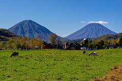 二名山を望む