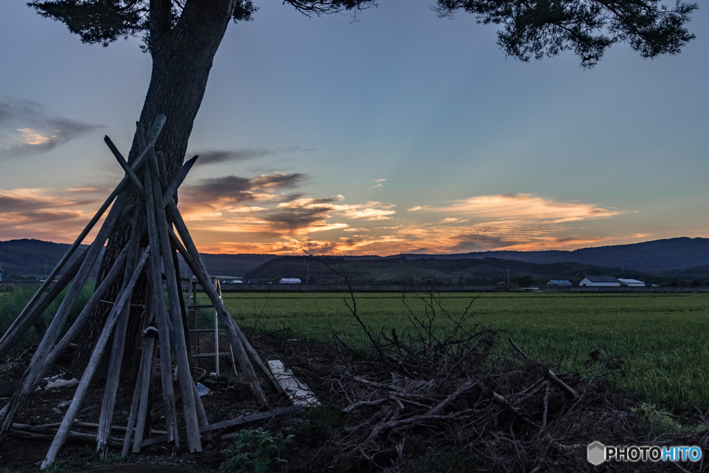 夕暮れのひととき