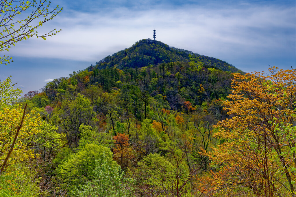 藻岩山　春紅葉