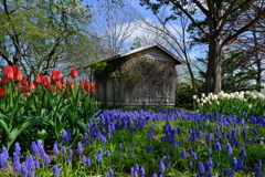 小屋のある風景
