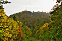 紅葉の季節
