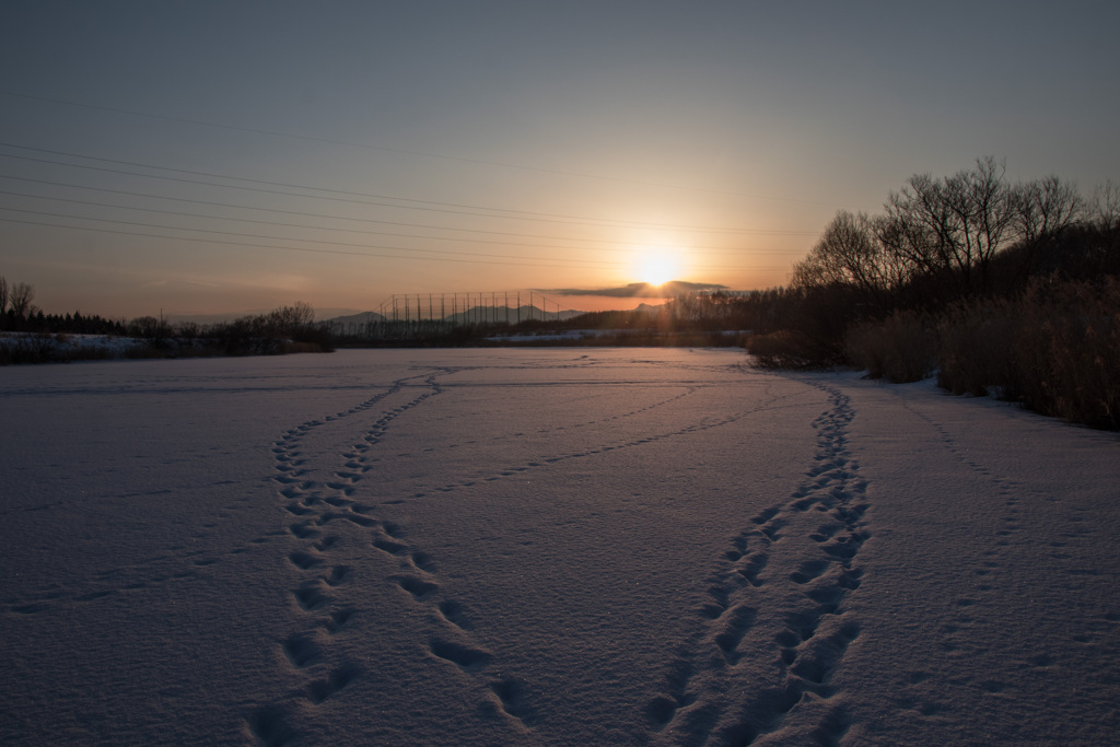 夕陽