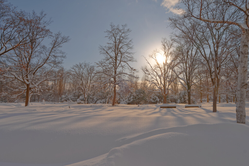 雪晴れの公園