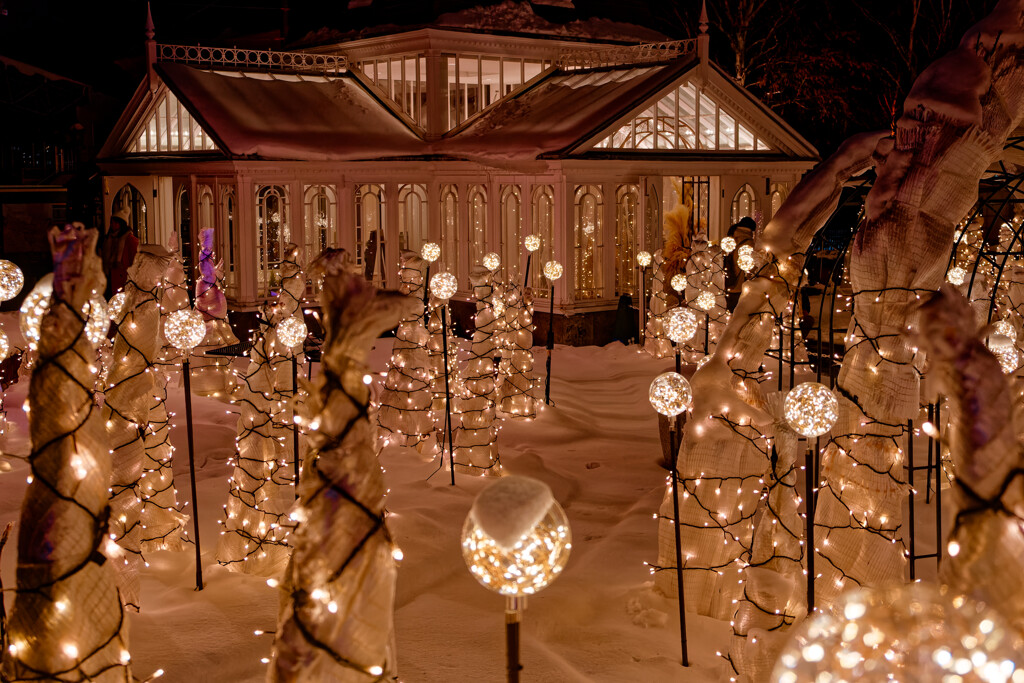 Holy Night of illumination