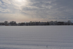 静かな雪原