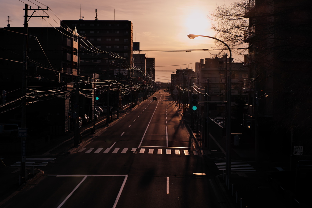 朝