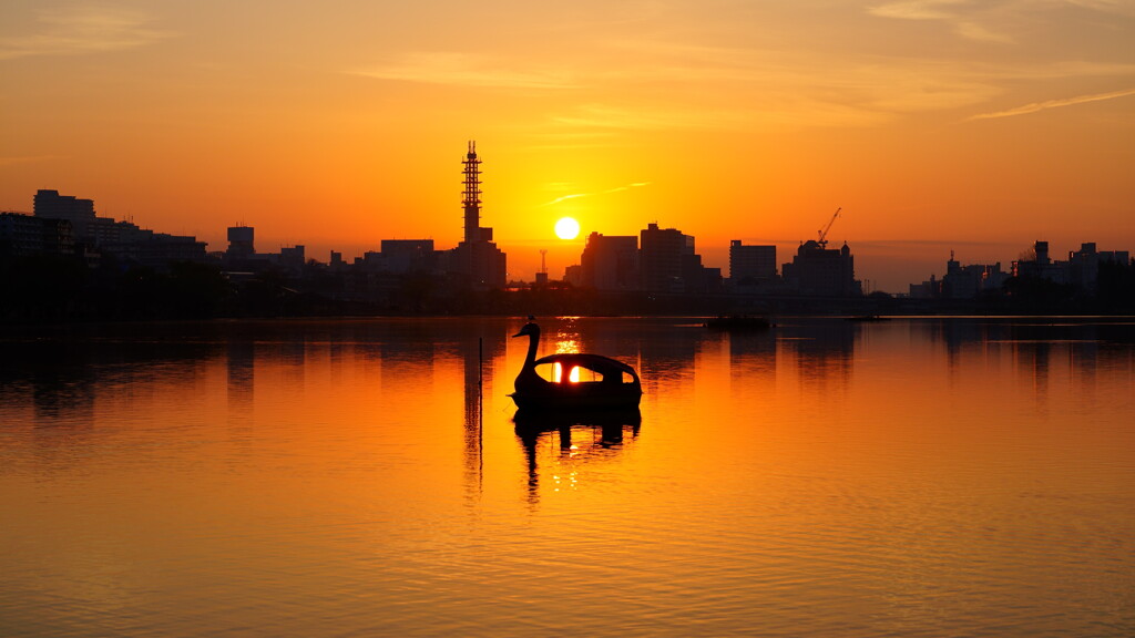 千波湖の朝陽
