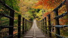 秋の吊り橋