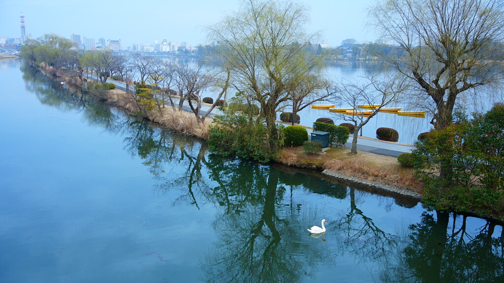 水辺の道