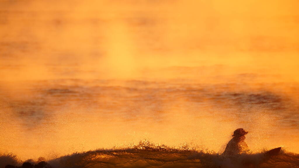 日の出サーファー